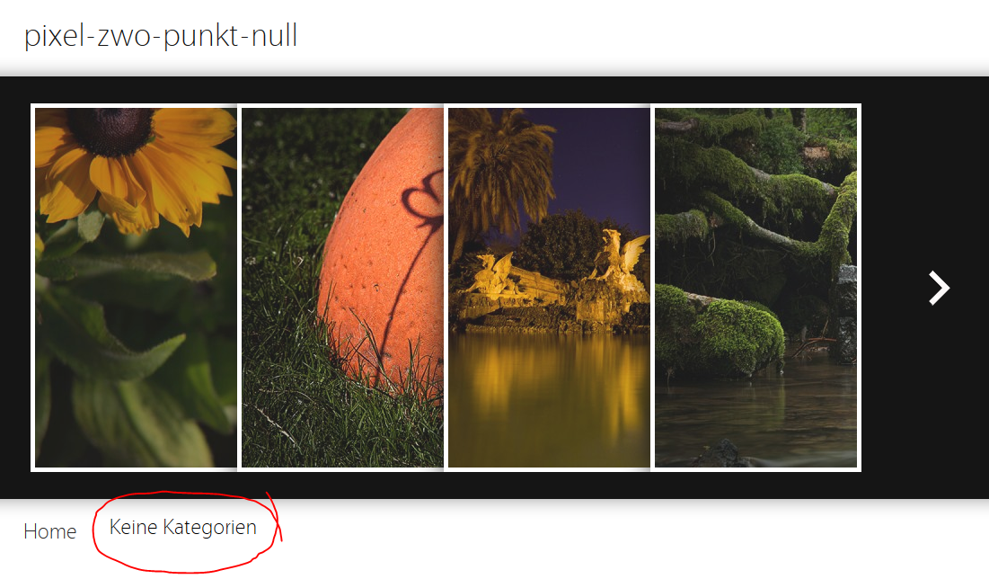 keine Kategorien